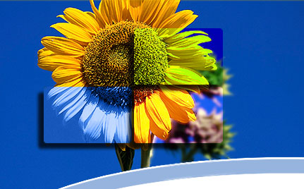 SUNCOFLOWER